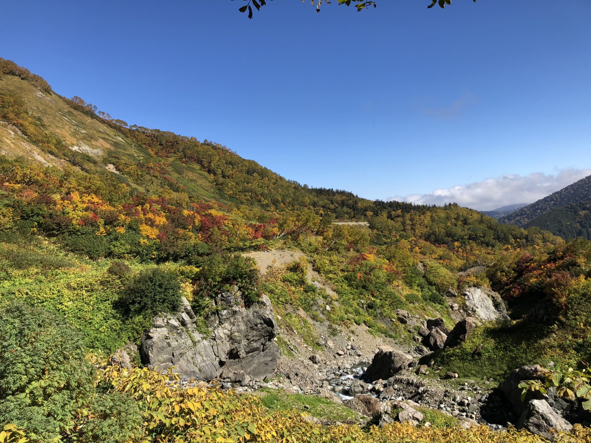 image1 