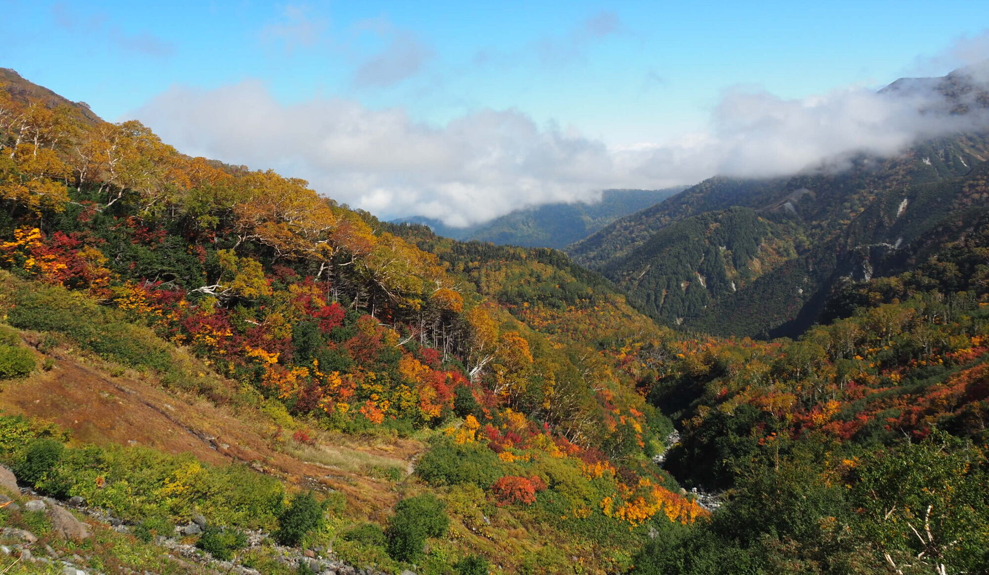 鉱山道（蓮華温泉〜白馬岳）ルート